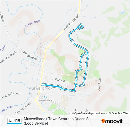 419 Route: Schedules, Stops & Maps - Queen St Loop (Updated)