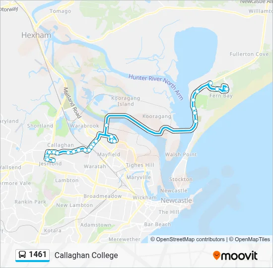 1461 Route: Schedules, Stops & Maps - Callaghan College (Updated)