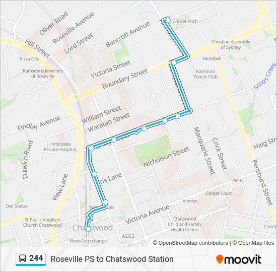 244 Route: Schedules, Stops & Maps - Chatswood Station, Stand C (Updated)
