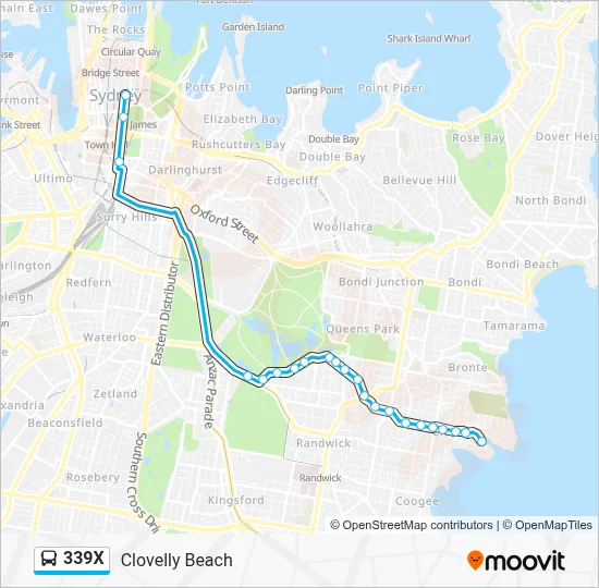 438x Bus 339X Route: Schedules, Stops & Maps - Clovelly Beach (Updated)