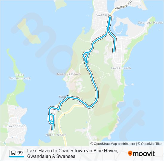 99 Route: Schedules, Stops & Maps - Swansea (Updated)