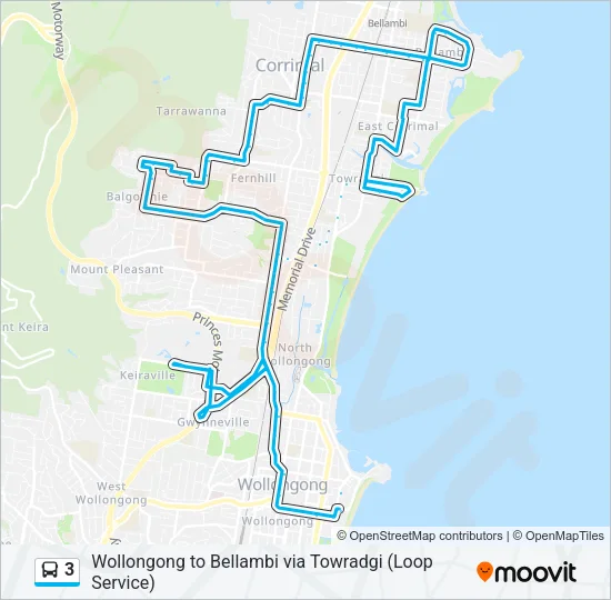 3 Bus Line Map