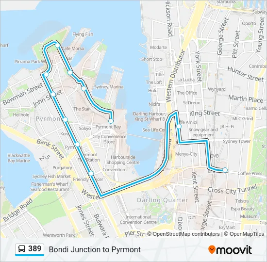 389 Bus Line Map