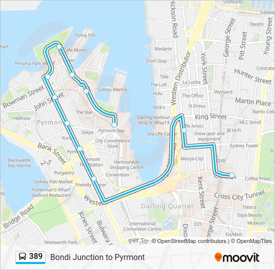 389 Route: Schedules, Stops & Maps - Park St, City (Updated)