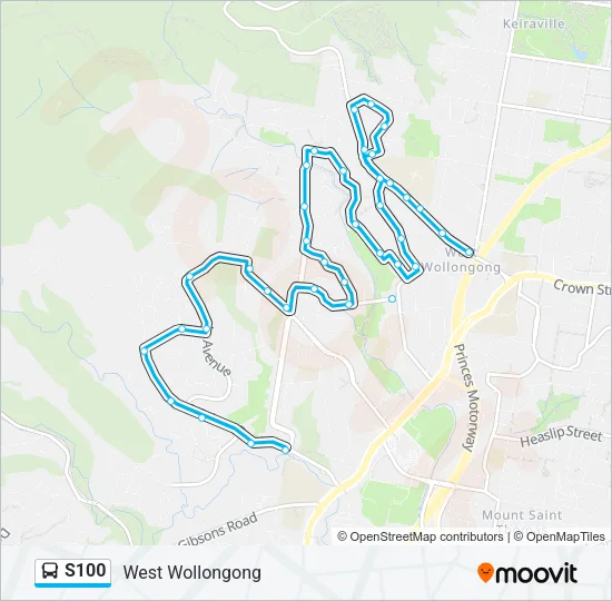 S100 Bus Line Map