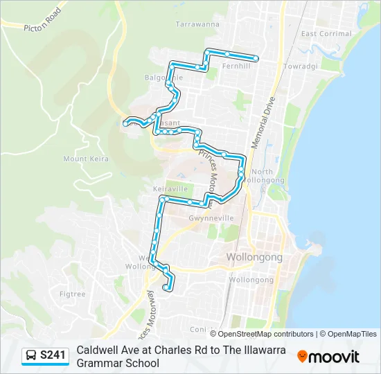 S241 Bus Line Map