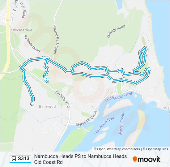 S313 Bus Line Map