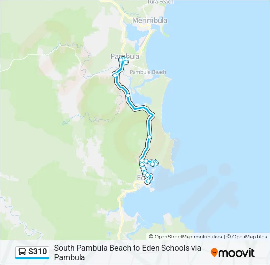 S310 Bus Line Map