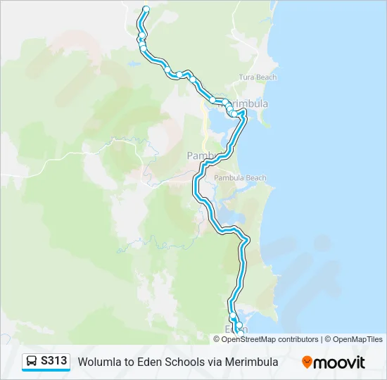 S313 Bus Line Map