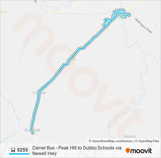 S255 Route: Schedules, Stops & Maps - School Bus (Updated)