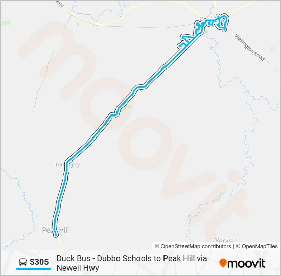 S305 Route: Schedules, Stops & Maps - School Bus (Updated)
