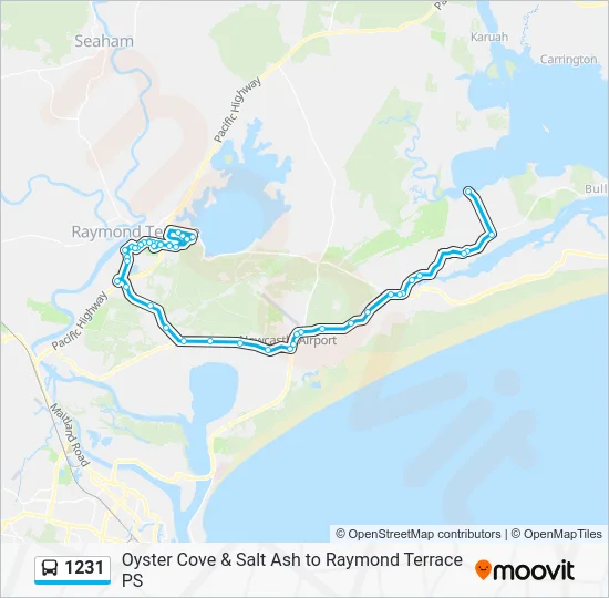 1231 Route: Schedules, Stops & Maps - Raymond Terrace PS (Updated)