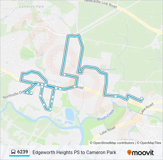 6239 Bus Line Map