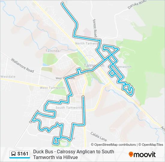 S161 Route: Schedules, Stops & Maps - School Bus - S161 (Updated)