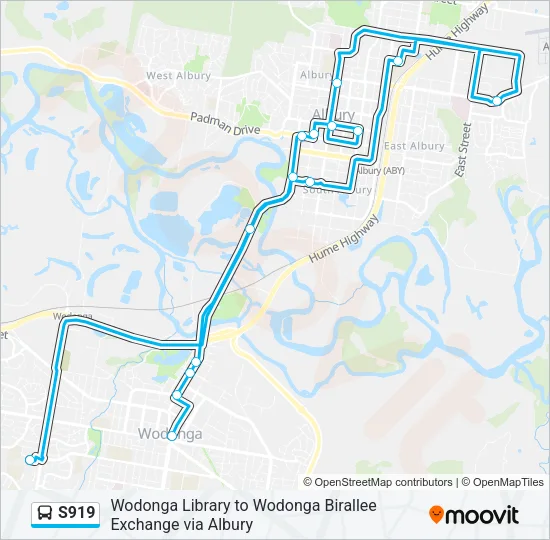 S919 Bus Line Map