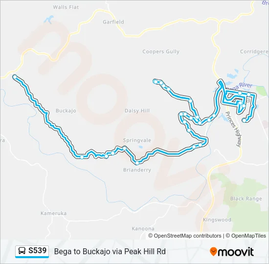 S539 Bus Line Map