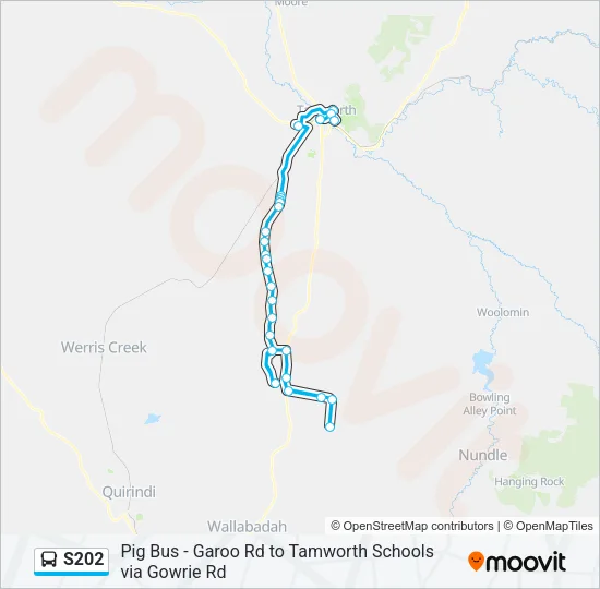 S202 Bus Line Map