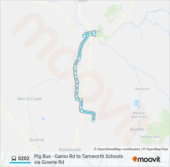 S202 Bus Line Map