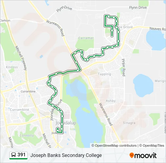391 Bus Line Map