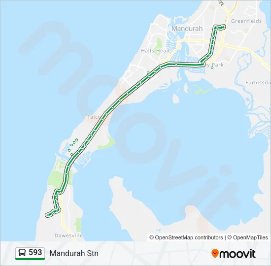 593 Bus Line Map