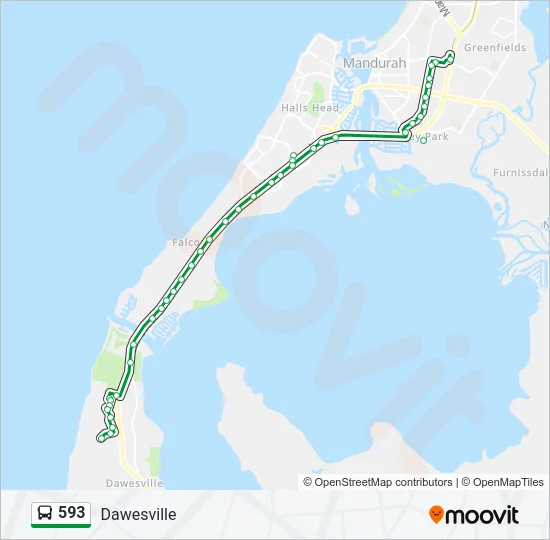 593 Bus Line Map