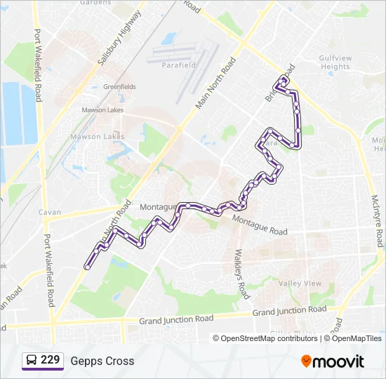 229 Bus Line Map