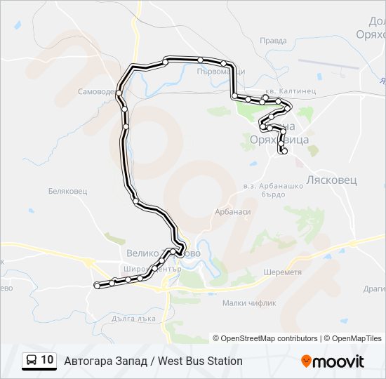 10 Bus Line Map