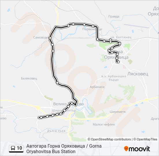 10 Bus Line Map