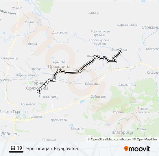19 Bus Line Map
