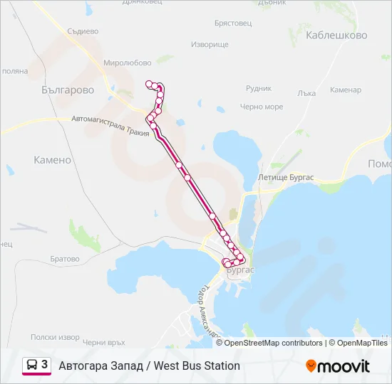 3 Bus Line Map