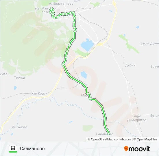 САЛМАНОВО Bus Line Map