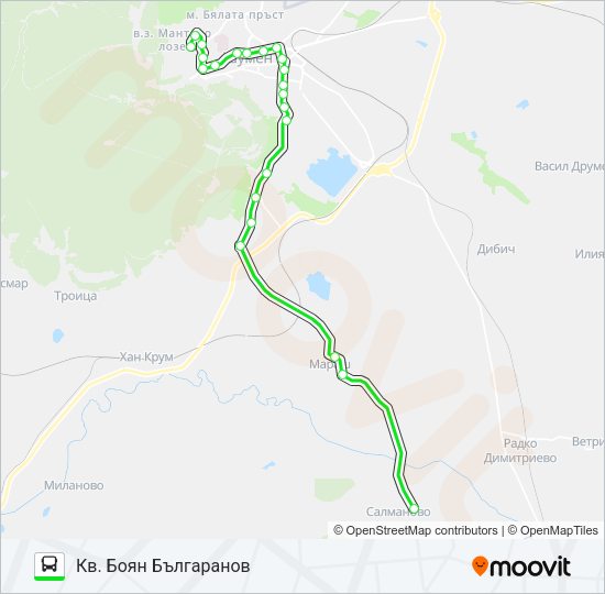 САЛМАНОВО Bus Line Map