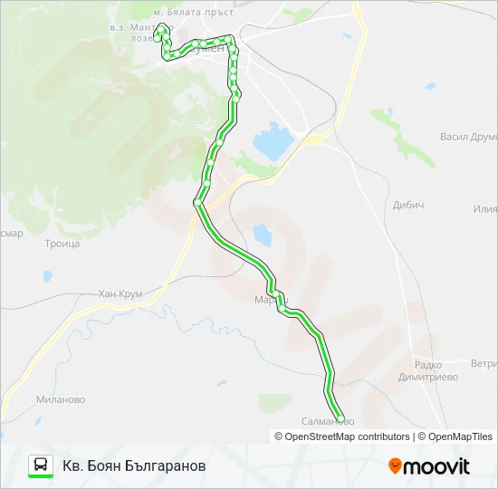 САЛМАНОВО Bus Line Map