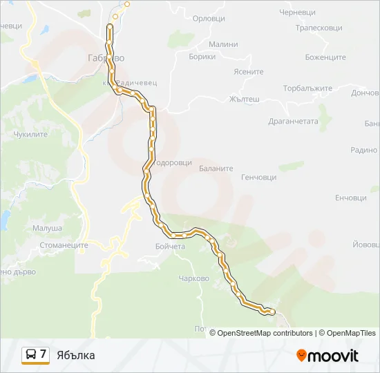 7 Bus Line Map