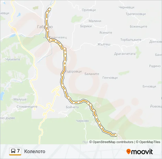 7 Bus Line Map