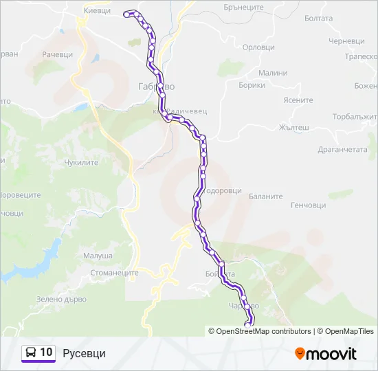10 Bus Line Map