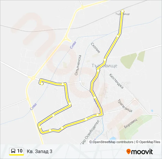 10 Bus Line Map