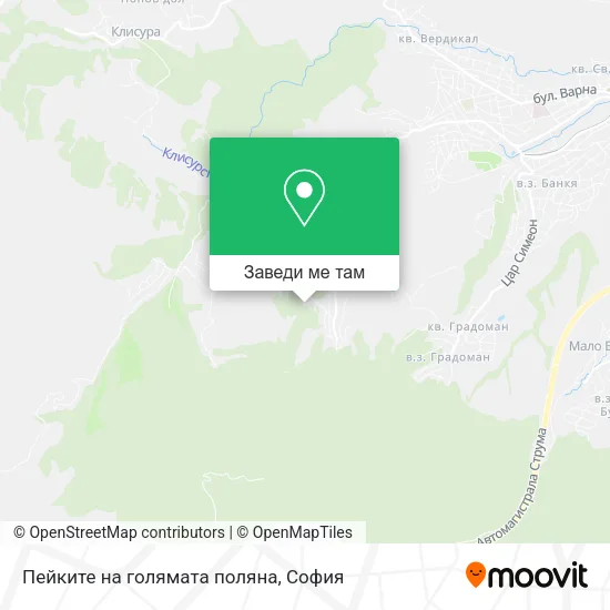 Пейките на голямата поляна карта