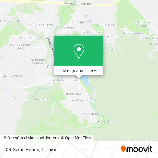 09 Swan Pearls карта