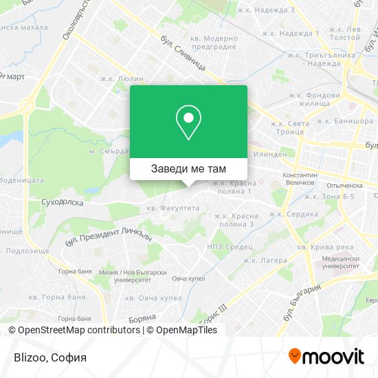 Blizoo карта