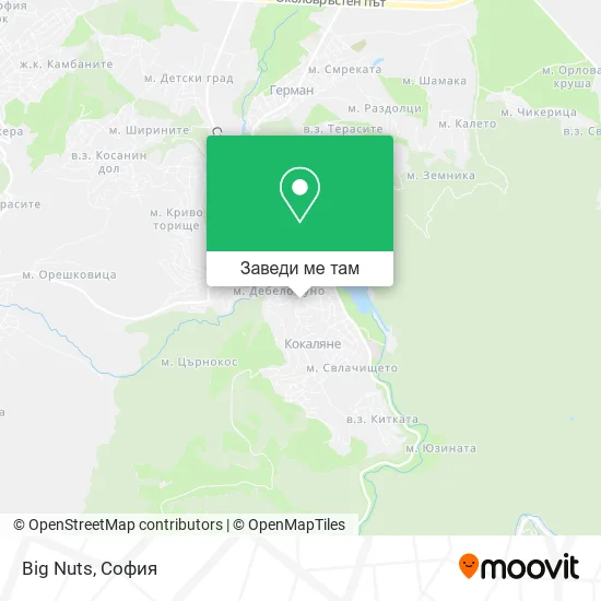 Big Nuts карта