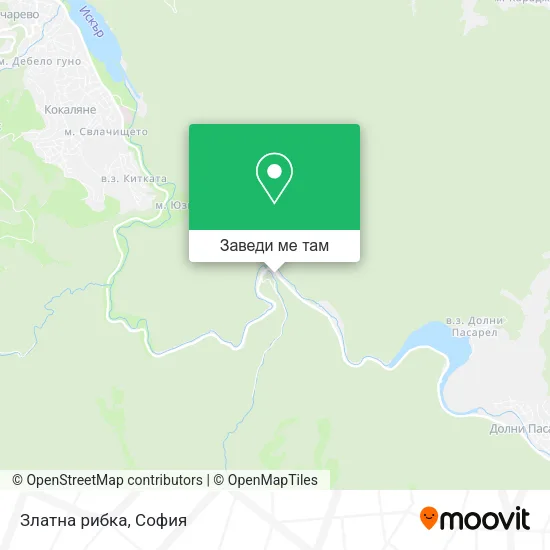 Златна рибка карта