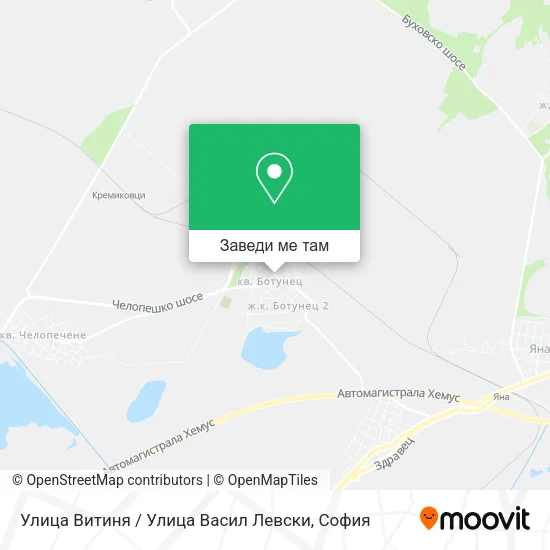 Улица Витиня / Улица Васил Левски карта