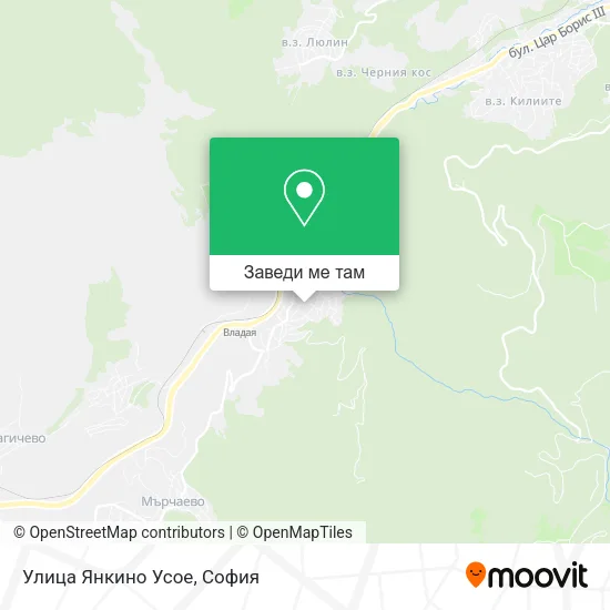 Улица Янкино Усое карта