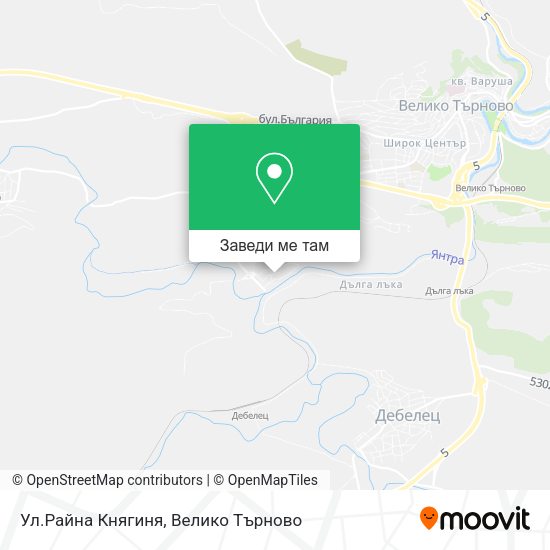 Ул.Райна Княгиня карта