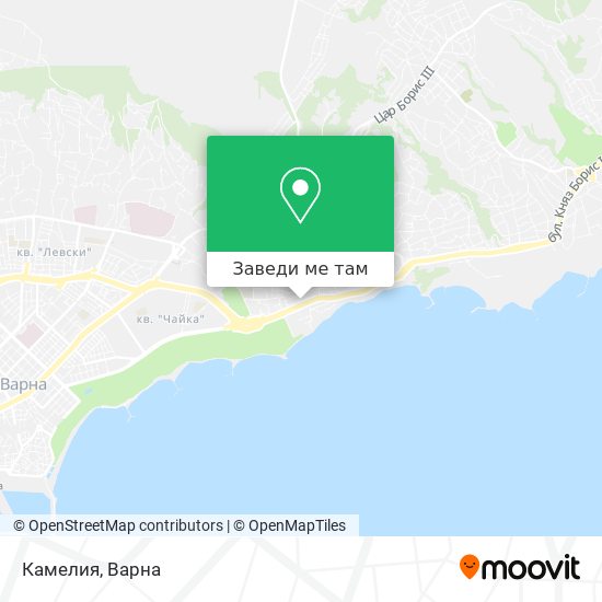 Камелия карта