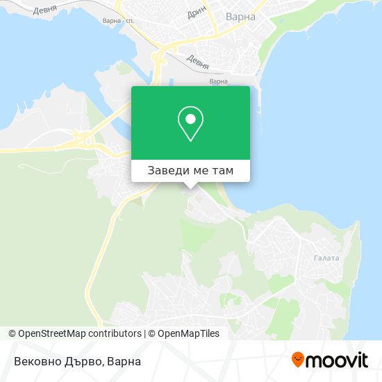 Вековно Дърво карта