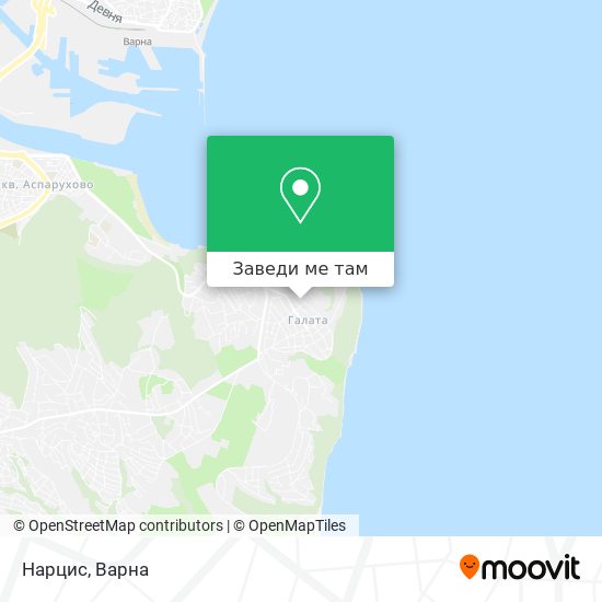 Нарцис карта
