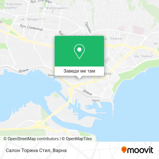 Салон Торина Стил карта