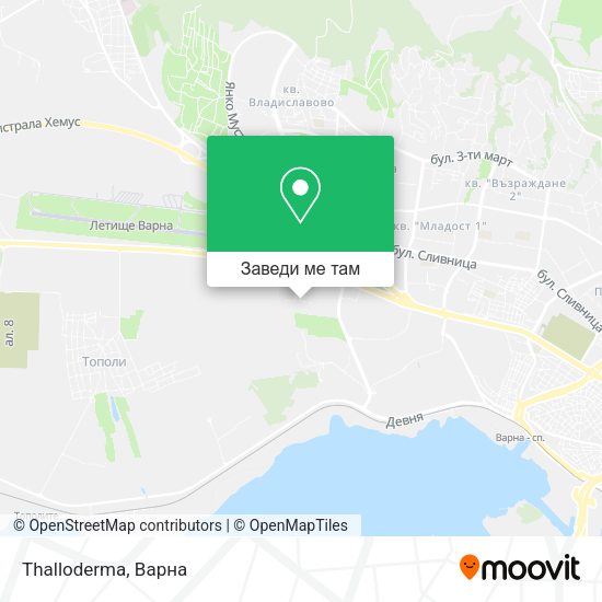 Thalloderma карта